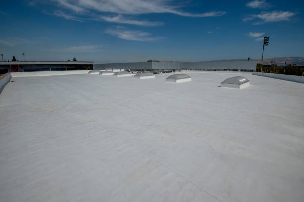 Best Green or Eco-Friendly Roofing Solutions  in Spring Grove, IL
